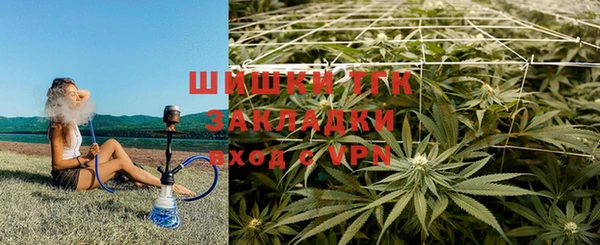 дживик Арсеньев