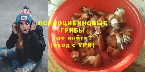 ешки Алексин