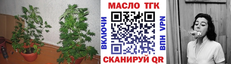 купить наркотик  Бабушкин  ТГК гашишное масло 